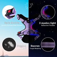 Harnais lumineux pour chien UMIONE, design dégradé arc-en-ciel, mode estivale de luxe, veste pour animaux de compagnie personnalisée avec LED USB, clignotante