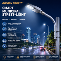Lampadaire LED AC série Goldenbright GB-71, haute luminosité, en aluminium moulé sous pression, pour routes et autoroutes extérieures