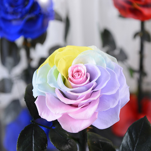 <span class=keywords><strong>PRIX</strong></span> SPÉCIAL OFFRE Fleurs de roses éternelles conservées éternellement Roses dans un dôme en verre Led pour les mères et la Saint-Valentin - Product Image 5
