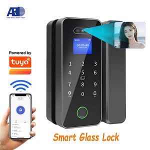Serrure d'empreintes digitales en verre biométrique d'excellente valeur Reconnaissance faciale Accès à la télécommande intelligente avec serrure de porte en verre - Product Image 1