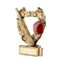 Trophées et médailles de la Coupe du monde de cricket en résine