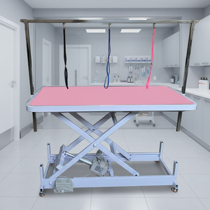 طاولة تجميل الحيوانات الأليفة الكهربائية المهنية الفاخرة 220 فولت من الفولاذ المقاوم للصدأ مع قفازات إزالة شعر الكلاب الآمنة والناعمة - Product Image 3