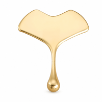 Masseur facial en acier inoxydable 304 avec logo personnalisé, en forme de feuille de ginkgo dorée, drainage lymphatique, anti-rides, lifting, outil Gua Sha