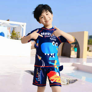 Traje de baño para niños, conjunto de dos piezas, secado rápido, estampado de dibujos animados, protección solar, bañador para niños, ropa para playa y piscina - Product Image 1