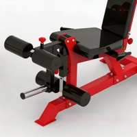 Machine à curls et extensions de jambes à charge libre, en acier robuste, pour entraînement de force à domicile, idéale pour les ischio-jambiers et les quadriceps