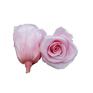Offre Spéciale préservé rouge coupées fraîches roses fleur <span class=keywords><strong>tête</strong></span> dans une boîte cadeau pour mur de fleurs artificielles - Product Image 4