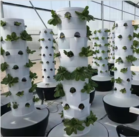 Système de culture hydroponique vertical multicouche Seedafarm Space Tree, conteneur intelligent pour la culture de légumes, jardin intérieur, pompe, plastique