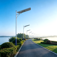 Lampadaire solaire LED tout-en-un haute luminosité 100W en aluminium moulé sous pression IP66 avec panneau mono MPPT LiFePO4 pour autoroute et parking