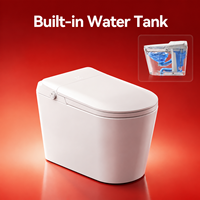 En stock WC intelligent sans réservoir avec bidet intelligent, chauffage par capteur, électrique automatique