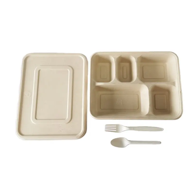 Ensemble de boîtes à lunch, 1000 ml, 5 div, conteneur alimentaire, pâte à sucre, emballage biodégradable et soluble