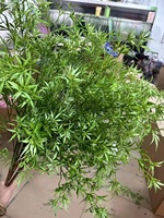 Feuilles artificielles de plante du feuillage TH872 vert pour l'arrangement floral de noce