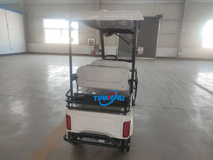 Carrito <span class=keywords><strong>de</strong></span> golf <span class=keywords><strong>el</strong></span>éctrico escénico pequeño para niños compartido 4 ruedas turismo <span class=keywords><strong>Alquiler</strong></span> <span class=keywords><strong>de</strong></span> <span class=keywords><strong>coches</strong></span> dibujos animados turismo Buggy - Product Image 5