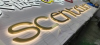 Enseigne extérieure rétroéclairée 3D personnalisée en acier inoxydable et lettres LED en acrylique pour devanture de magasin
