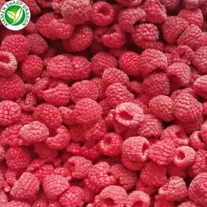 IQF फ्रोजन ताजा लाल रास्पबेरी थोक कार्बनिक फ्रीज फ्रीजिंग बिना मीठा स्वस्थ प्राकृतिक पौष्टिक थोक मूल्य