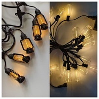 LED Decoratieve Lichtslingers G40 ST38 Edison Bubble S14 Lamp IP65 Kerosinelamp Waterdicht voor Buiten Bruiloft Feest Sfeer