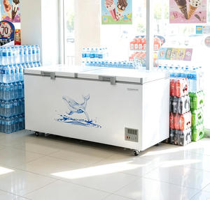 Congélateur <span class=keywords><strong>coffre</strong></span> commercial <span class=keywords><strong>200L</strong></span>-500L à économie d'énergie, refroidissement rapide, certifié CE pour supermarchés et magasins – Vente directe usine - Product Image 1