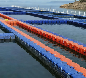 HDPE nhựa Modular nổi phao Cubes nuôi trồng thủy sản nuôi cá Dock khối để bán - Product Image 5