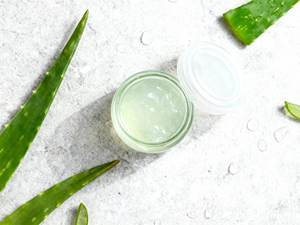 Extracto de aloe vera premium con propiedades calmantes para uso versátil en cuidado de la piel, suplementos y formulaciones a granel. - Product Image 3