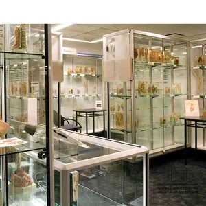 精品玻璃不锈钢展示家具展示架博物馆古董店高级定制