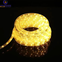 Corde lumineuse Led étanche pour l'extérieur, 220V, 24V, 12V, ronde, 2 fils, 13mm