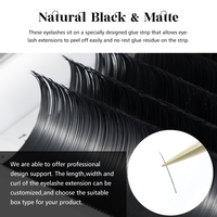 Extensions de cils PBT faites à la main, effet mat scintillant, courbures M LC LD LB 0.03, OEM/ODM, vente en gros, fournitures pour plateaux d'extensions - Easy Fan, sans cruauté animale, végétalien