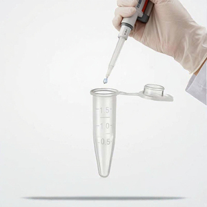 Tubos de Microcentrífuga de Alta Transparencia de 1.5 ml, Libres de DNase y RNase, <span class=keywords><strong>Tubo</strong></span> <span class=keywords><strong>Eppendorf</strong></span> Graduado para Almacenamiento de Muestras - Product Image 1