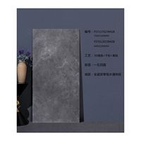 Nouveau design 60x120 carreaux de sol de cuisine mats émaillés en céramique porcelaine pour mur de salle de bain intérieur