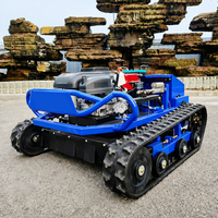 Tondeuse à gazon télécommandée sur mesure à prix super réduit, 800 mm, mini robot tondeuse RC