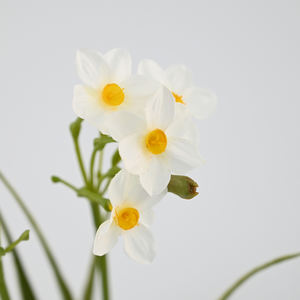 <span class=keywords><strong>Fleur</strong></span> artificielle en soie, 4 têtes <span class=keywords><strong>de</strong></span> narcisse, 43 cm <span class=keywords><strong>de</strong></span> long, vente en gros pour centre <span class=keywords><strong>de</strong></span> table <span class=keywords><strong>de</strong></span> luxe, décoration intérieure, événements <span class=keywords><strong>de</strong></span> mariage - Product Image 1