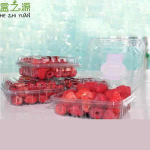 Caja de Embalaje de Plástico Transparente Personalizada para Frutas Frescas, Verduras, Arándanos, Fresas, Naranjas y Manzanas - Product Image 3