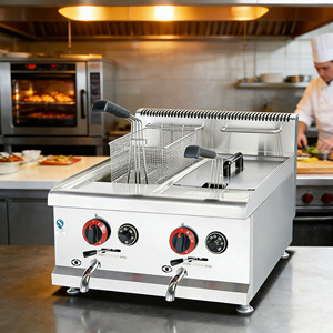 Friteuse Commerciale à Gaz pour Restaurants - Friteuse à Gaz Naturel pour Frites et Poulet - Product Image 2