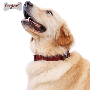 Conjunto de correa de collar de perro de nailon de algodón de alta calidad con logotipo personalizado de liberación rápida estilo moderno reflectante - Product Image 3