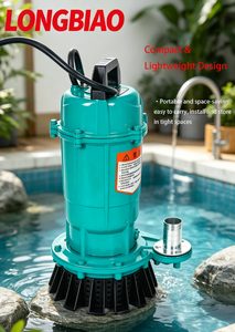 <span class=keywords><strong>Pompe</strong></span> submersible robuste KQQS 1.1KW-2.5KW 220V en acier inoxydable antirouille pour drainage des eaux usées de sous-sol avec protection thermique - Product Image 4