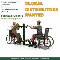 SageDelightRides Équipement de fitness extérieur commercial, aire de jeux accessible aux fauteuils roulants, avec fonction de descente assistée pour enfants, en acier, pour écoles, vente en gros