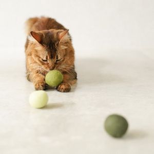 Woll-Katzenbälle, sicher, geräuschlos, weich, handgefertigt, Nepa-Wollfilzbälle, 3 Stück, bunt - Product Image 1