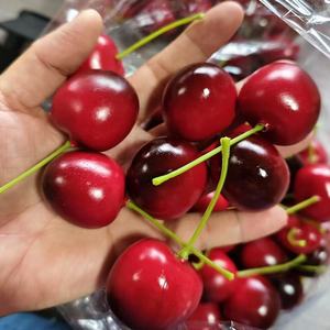 Modelo de Cereza Artificial para Fotografía, Manualidades de Polifoam, Decoraciones de Fruta de Cereza, Cereza Artificial de Espuma - Product Image 6