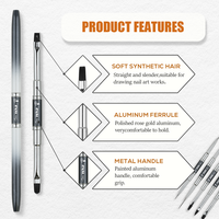 Nouvel ensemble professionnel de 5 pinceaux à double embout pour nail art, avec manche métallique, pour extension de gel et décoration de liner, gainant en temps et l'espace
