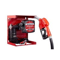 Kits de pompes de transfert de diesel portables 50 LPM 12/24 V à structure à engrenages électriques, personnalisables OEM pour les industries automobile et marine