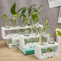 Vase en verre pour plantes hydroponiques nordiques, fabriqué avec des matériaux de haute qualité pour la maison