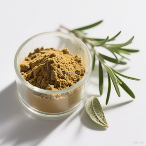 ISO được phê duyệt phụ gia thực phẩm 60% carnosic axit Trung Quốc nhà sản xuất của hương thảo chiết xuất nhà máy chiết xuất của nhà sản xuất sản phẩm - Product Image 4