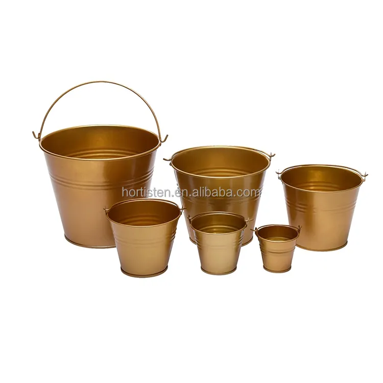 Gold color galvanized metal bucket planter pot serving buckets sweet tree