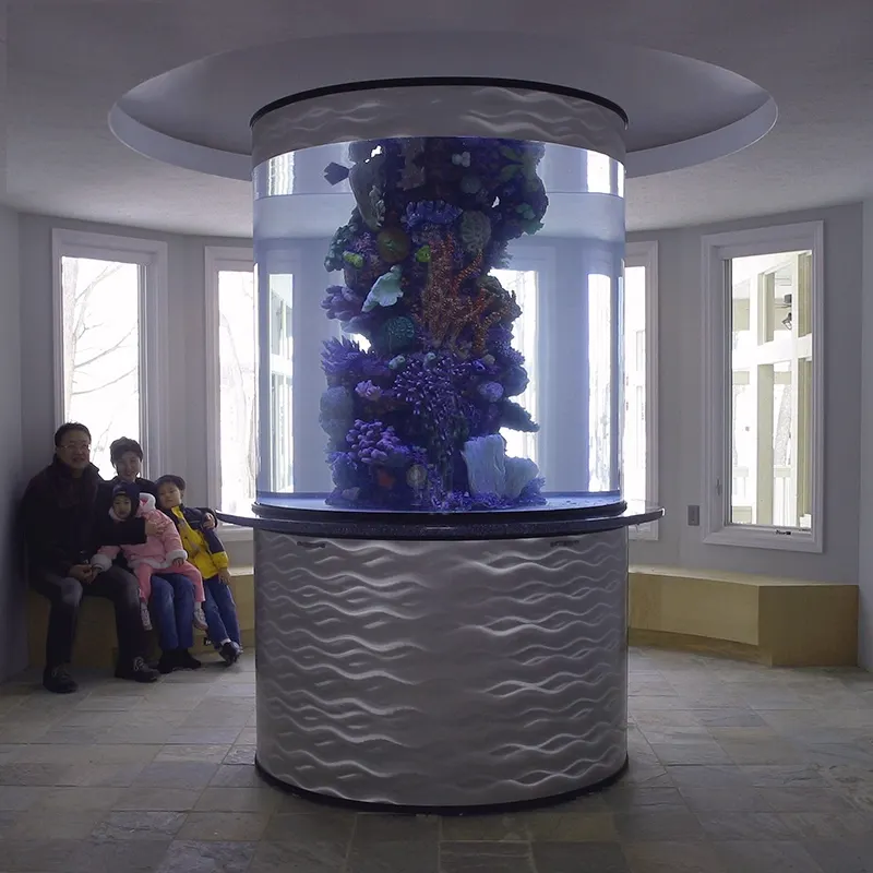 Neue Design produkte Zylindrisches gegossenes Acryl aquarium für Wohnkultur