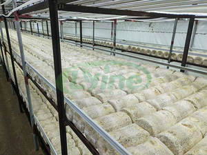 Grande Ferme de Culture de Champignons Hydroponique Intelligente avec Humidification par Brumisation, Système de Travail Automatique Contrôlé par APP/WiFi - Product Image 4