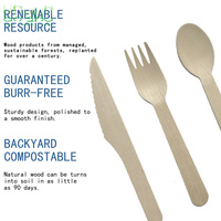 Ustensiles en bois jetables, compostables et écologiques en gros pour camions de restauration et vendeurs de rue - Ensemble cuillère, fourchette, couteau