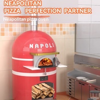 Four à pizza en bois de très grande taille, à cuisson au bois, avec kit de moules en bois, pour briques, mosaïque, tuiles, insert de cuisson au gaz, dôme en pierre et éléments en bois, personnalisable avec logo