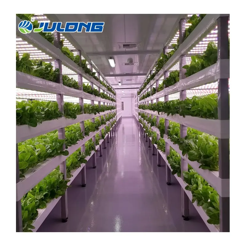 Smart farm hydroponic container greenhouse farm vertical farming plant factory for sale