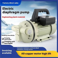 HY Transfer Pompası Kendinden emişli Kimyasal Diyaframlı Pompa 1500W Üre AC 220V Motor DEF Dizel Egzoz Sıvısı için Düşük Basınç
