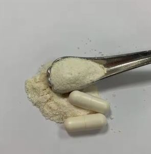 Suplemento probiótico en polvo para la salud intestinal óptima - Product Image 1