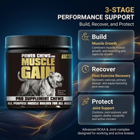 Complément alimentaire pour chiens et animaux de compagnie : soutien musculaire, gommes à mâcher molles, BCAA, L-Glutamine, huile de saumon, riche en protéines, sans produits chimiques