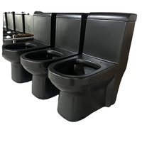 Toilettes modernes, toilettes commerciales, toilettes européennes, WC à poser au sol, cuvette de WC colorée
